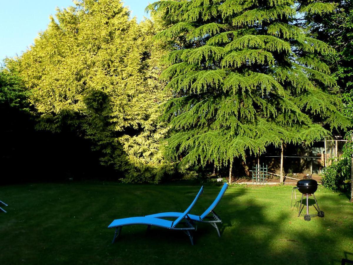 Bed and Breakfast Ailes Et Iles Pleudaniel Екстер'єр фото