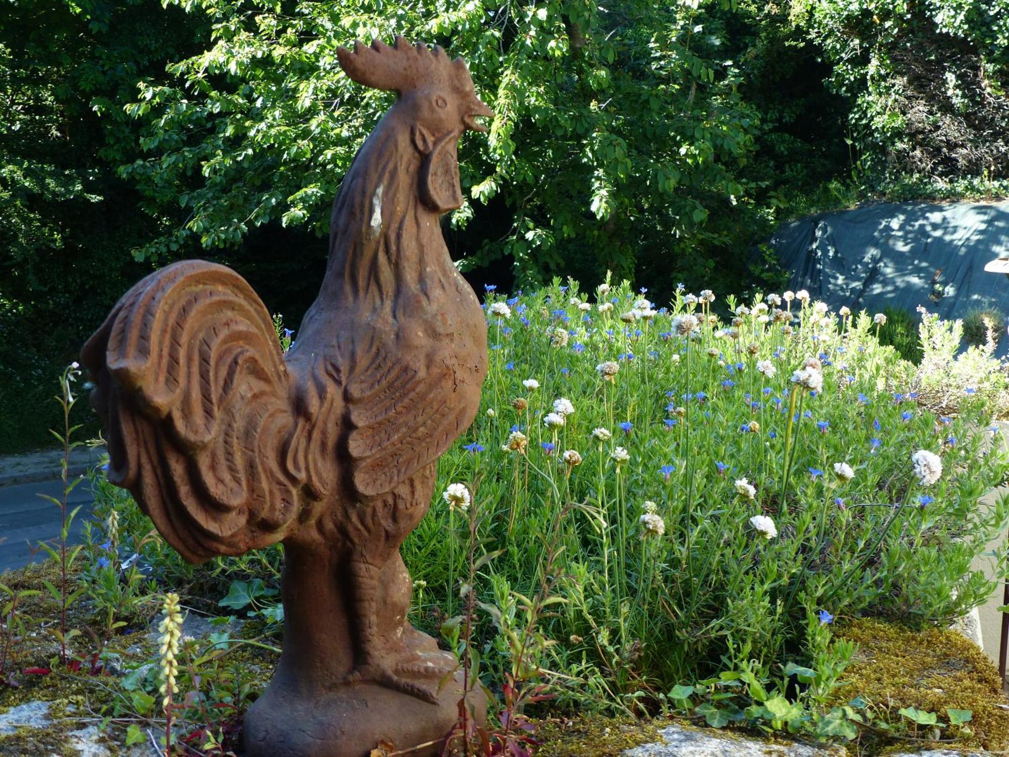 Bed and Breakfast Ailes Et Iles Pleudaniel Номер фото